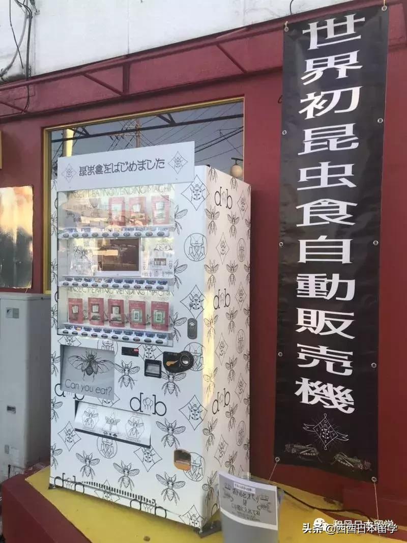 日本昆虫拉面自助售卖机,日本活体昆虫自助售卖机