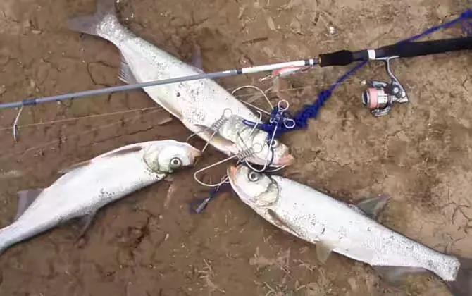 路亚钓具都有哪些品牌,路亚渔具有哪些