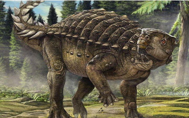 几种可以瞬间秒杀霸王龙的恐龙,各种各样的恐龙和霸王龙