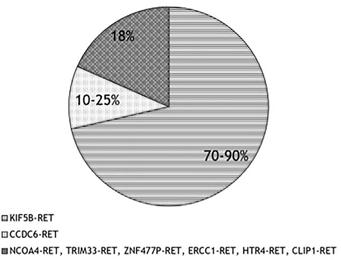 非小细胞肺癌ret靶向药,肺癌RET最新研究