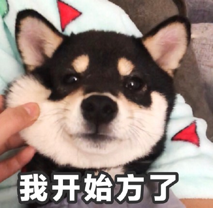 圣诞节表情包我想吃什么,圣诞节快乐表情包可爱