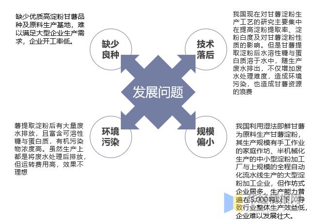 甘薯淀粉未来规划,淀粉产业政策