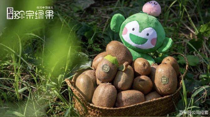 创业开店策划方案怎么做的,创业开店一周的规划与目标