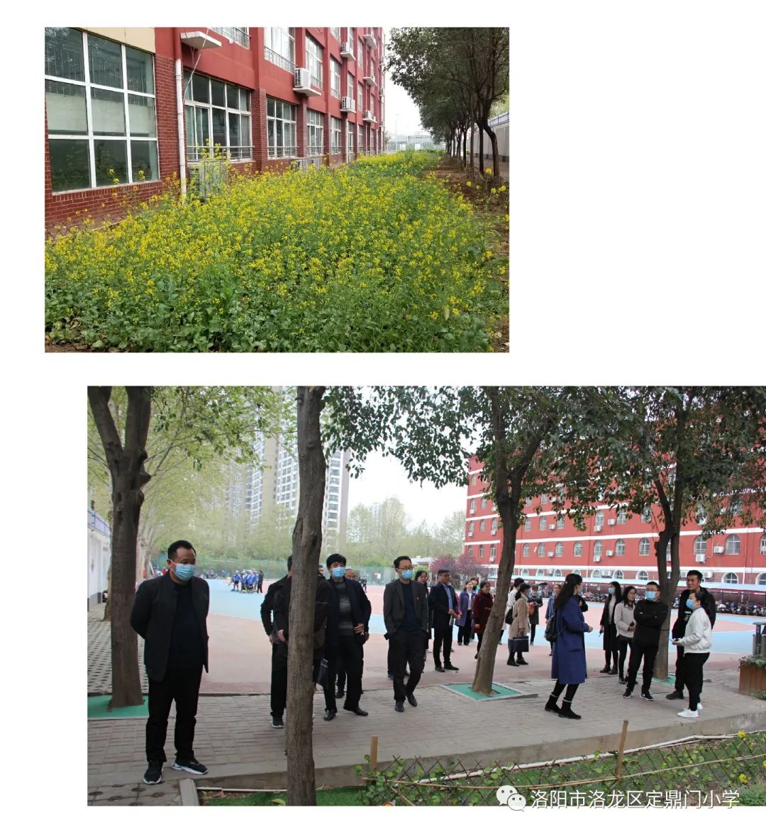 孟津会盟镇中心校教育同仁走进定鼎门小学