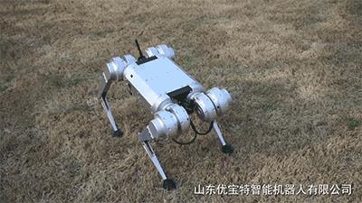 今年最火爆的智能机器狗,最新款智能机器狗推荐