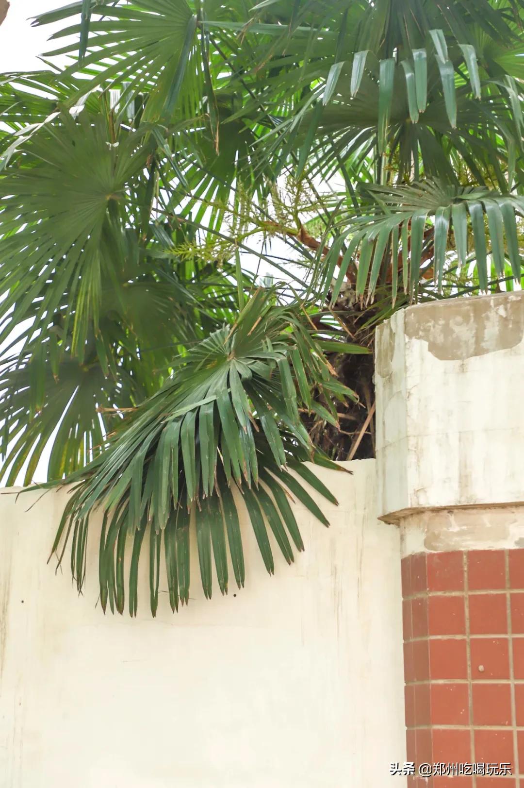 没有256g的胃是什么意思,没有256g胃能吃海鲜吗