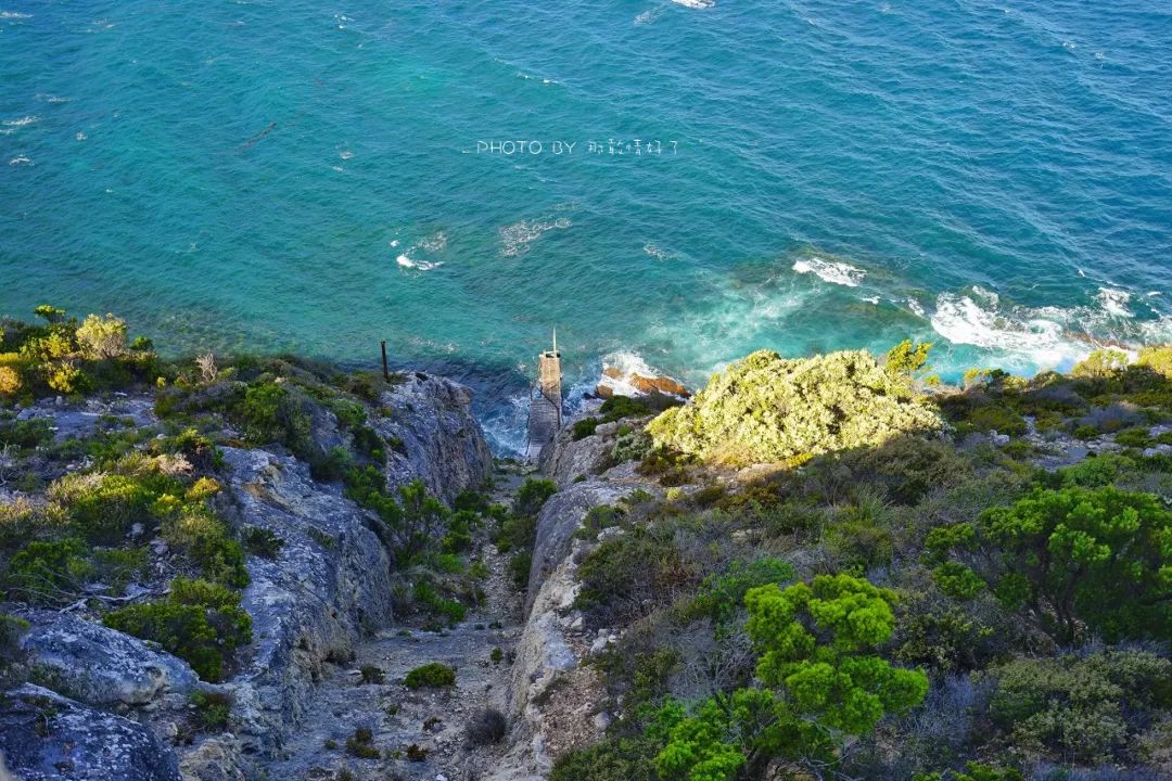 赴澳洲需要买的东西,去澳洲探亲要提供无犯罪记录吗
