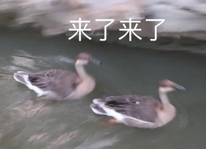 ao3作者获得雨果奖,获雨果奖的科幻巨作三体