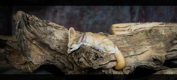 泰旅局发布2019年泰国旅游新玩法,曼谷漫游攻略