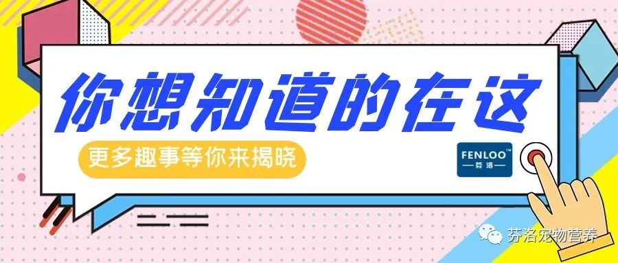 猫瘟病毒犬瘟热诊断及治疗