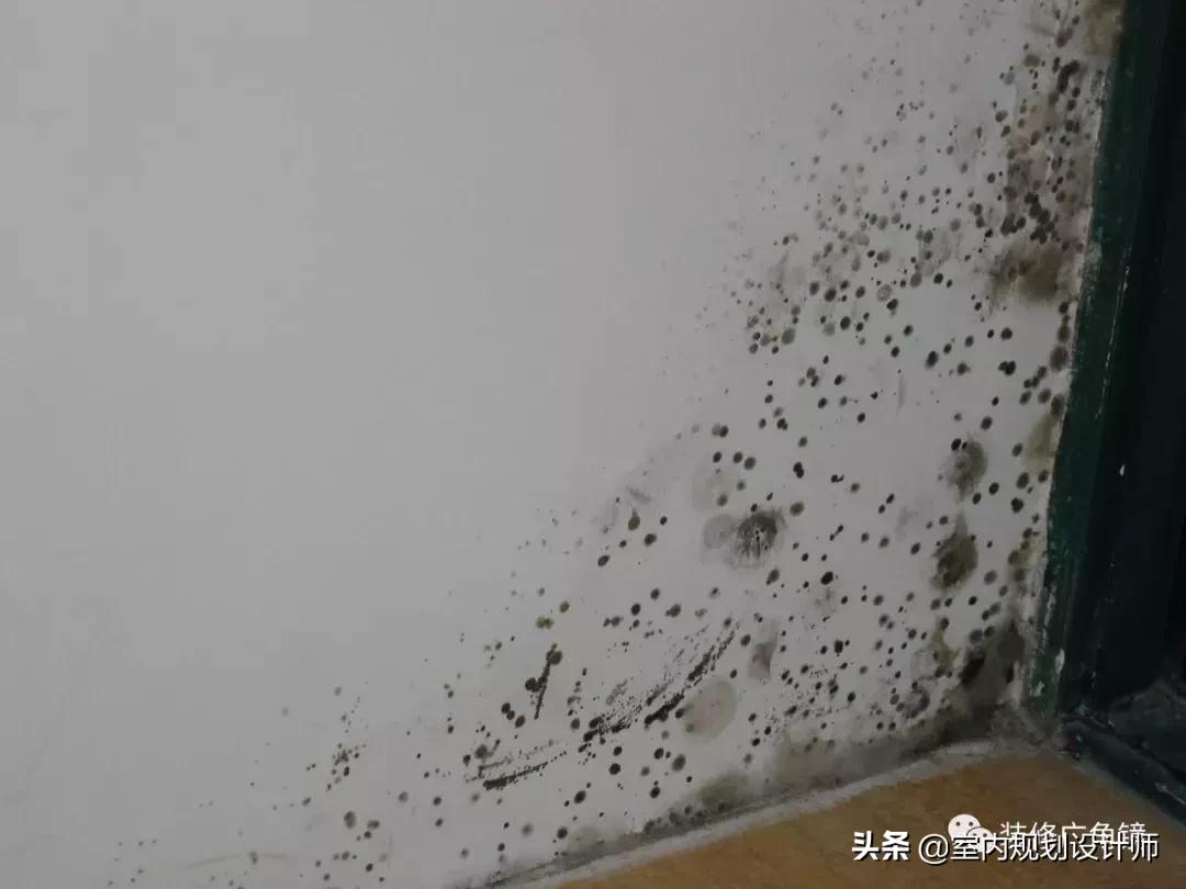 装修不刷底漆怎么办,现在很多装修公司都不刷底漆