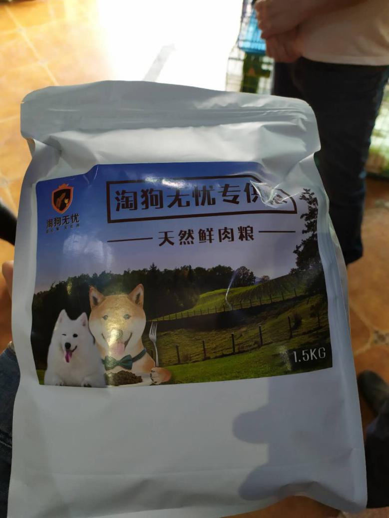 北京月流水超百万的猫狗活体专卖店，都有啥套路？