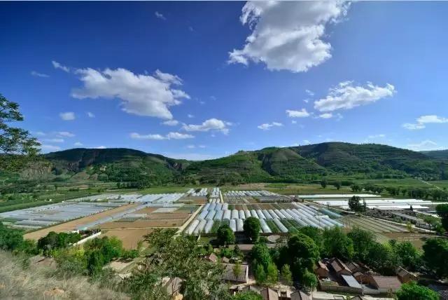 我在长武刚刚好，何必羡慕北上广