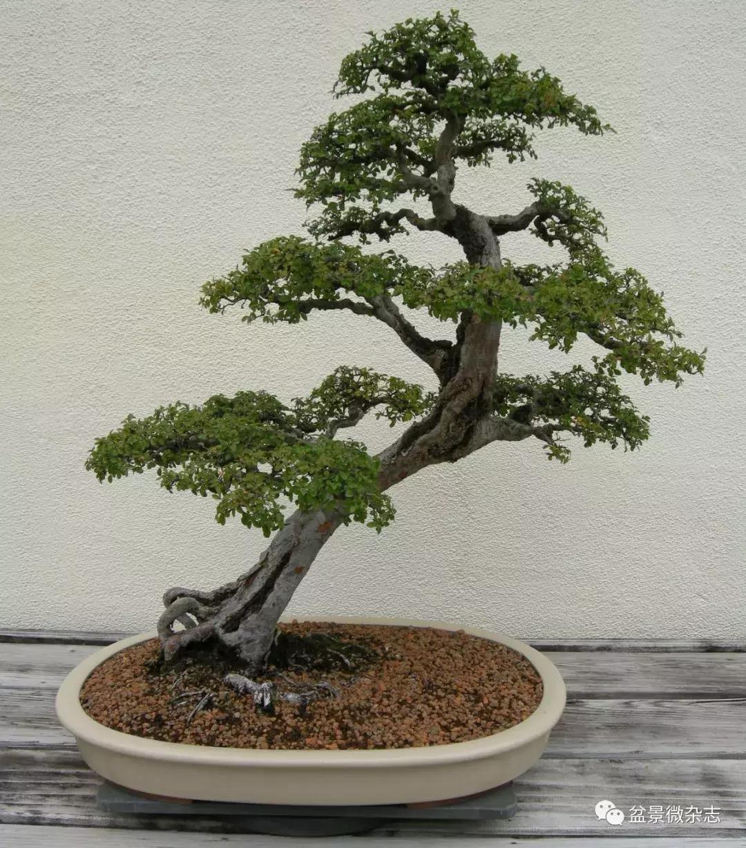 催老的坏习惯有哪些,催人老的四大秘诀