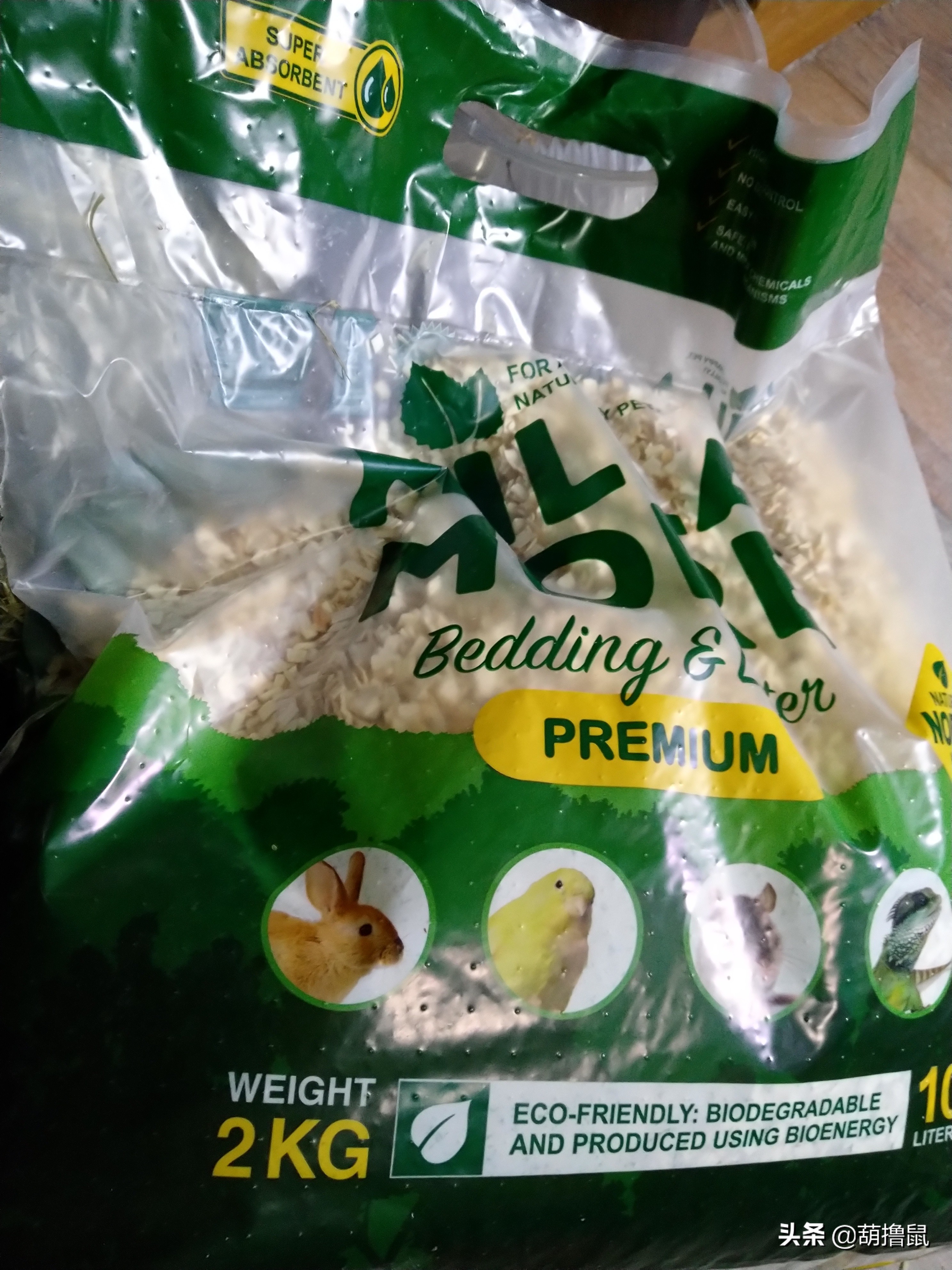 仓鼠怀孕注意事项和禁忌,仓鼠怀孕后一定要分开养吗