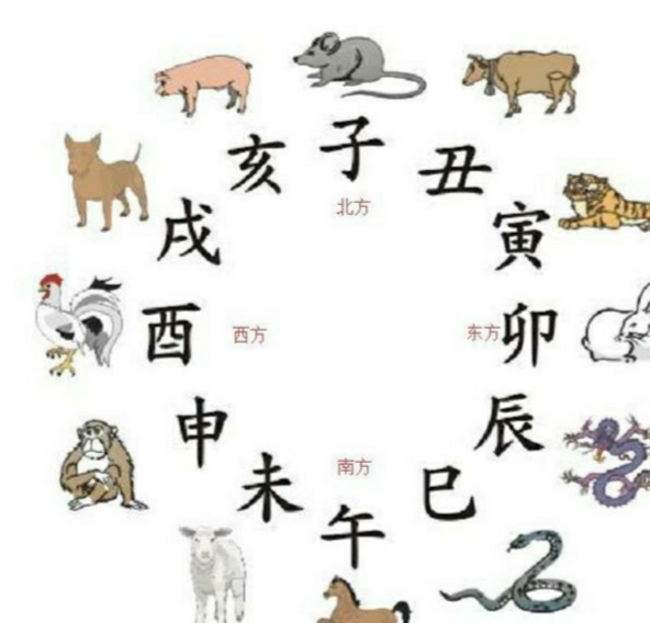 属相合与不合国学,属相相生怎么讲