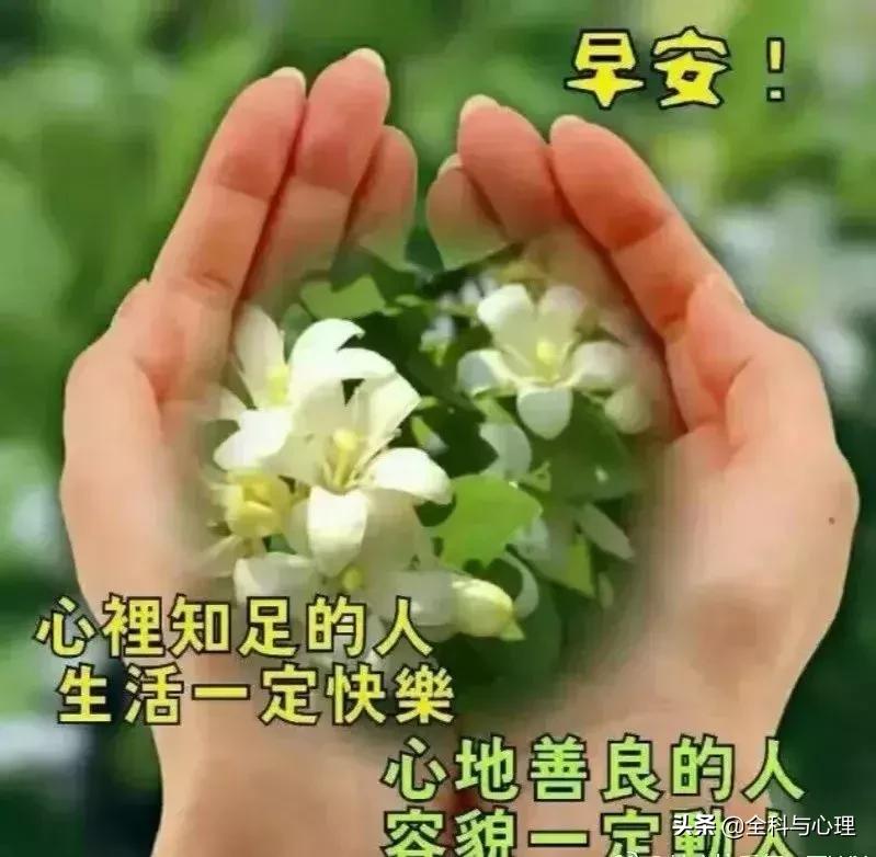 大家早上好周末愉快表情图片,早上好周六快乐祝福问候表情图片