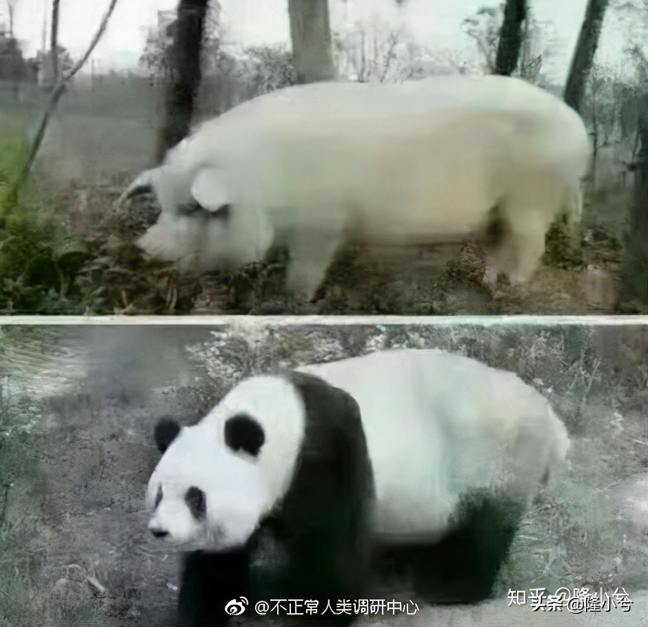 定制家具和成品家具哪个划算,出租房家具买什么档次的家具划算