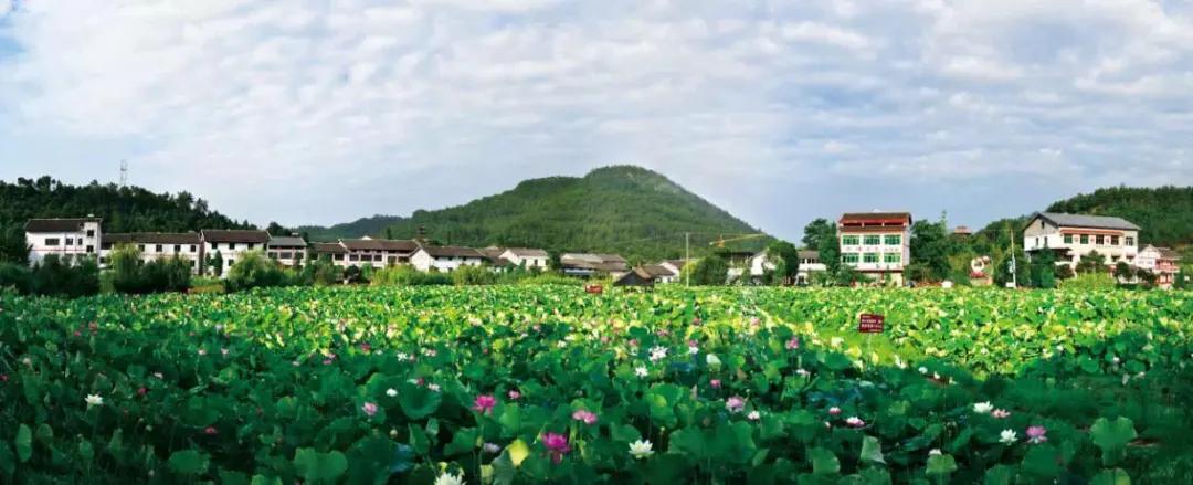 骞垮厓蹇箰椹跨珯鏃呮父鏀荤暐,鍘诲箍鍏冪殑鏀荤暐璺嚎鎺ㄨ崘