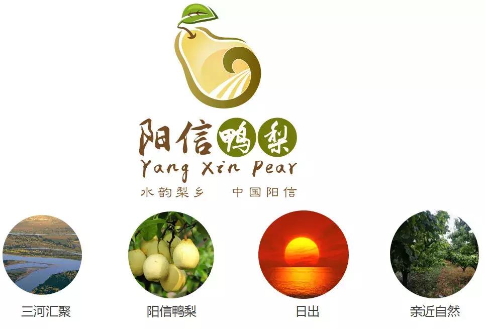 “阳信鸭梨”区域公用品牌形象标识