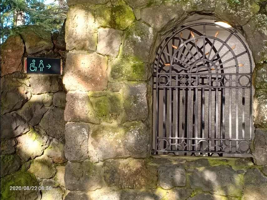 一树山,我的精神家园