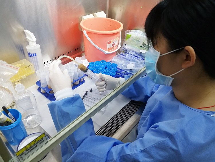 屎是不是可以治病,粪便可以治病嘛