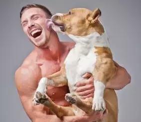 狗狗总是喜欢舔人怎么回事,狗狗总喜欢舔主人的手是咋回事