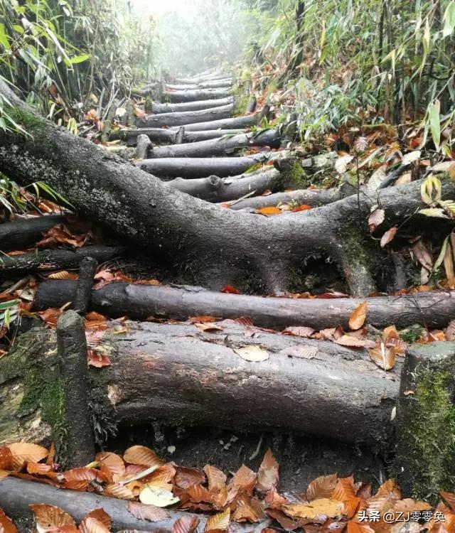 成都周边爬山的好地方人少免费,大年初一成都周边登山游一日游