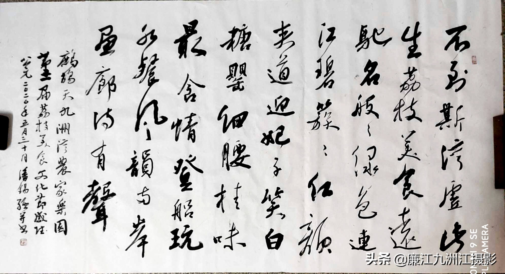 湛江市廉江荔枝节开幕式视频,廉江荔枝文化节