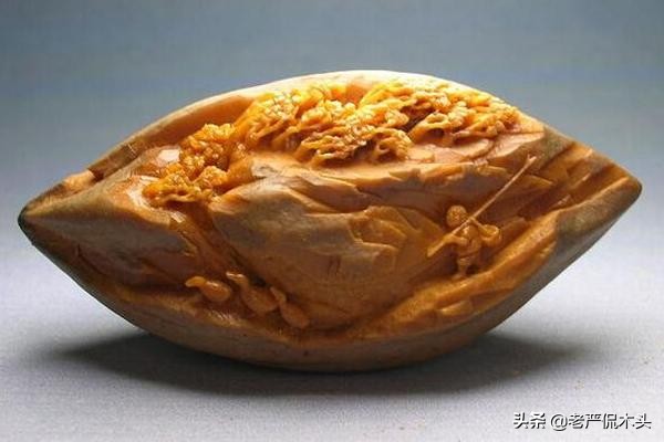 新手学木工,木工初学者入门基础知识