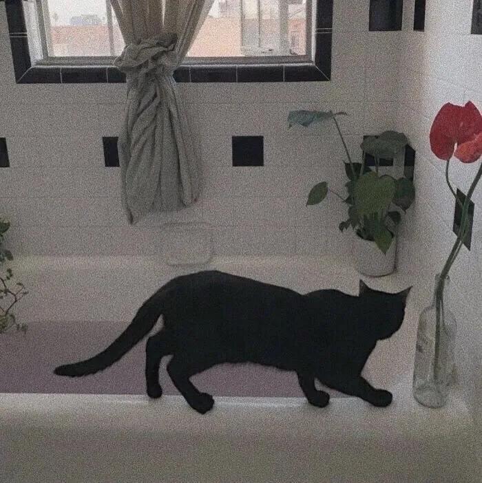 女生都喜欢的朋友圈背景图,朋友圈背景图全部女