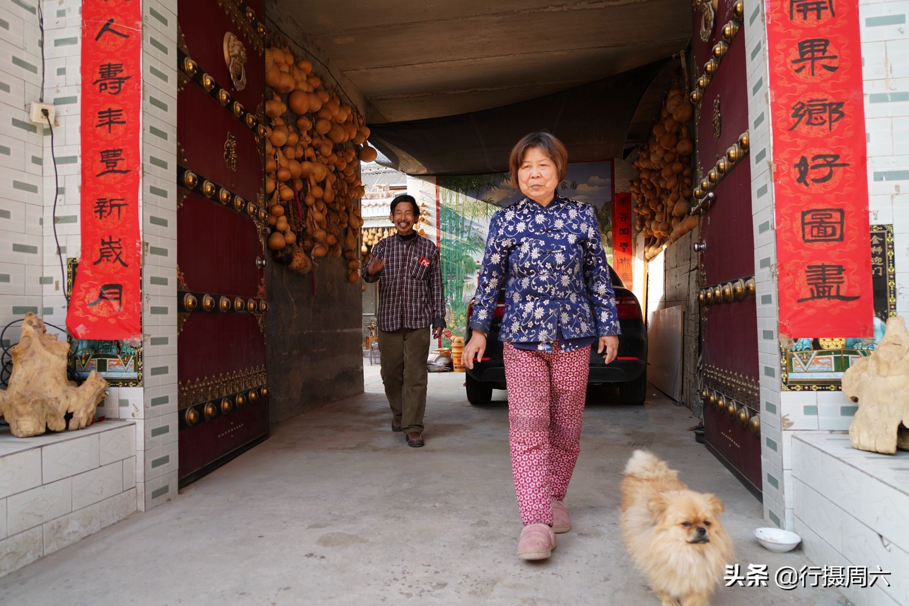 老农捡到地灵芝,上山挖药材意外找到一株野生灵芝