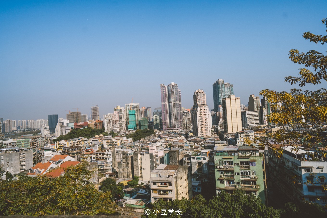 澳门旅游攻略免费吃喝,去澳门哪里有免费吃喝