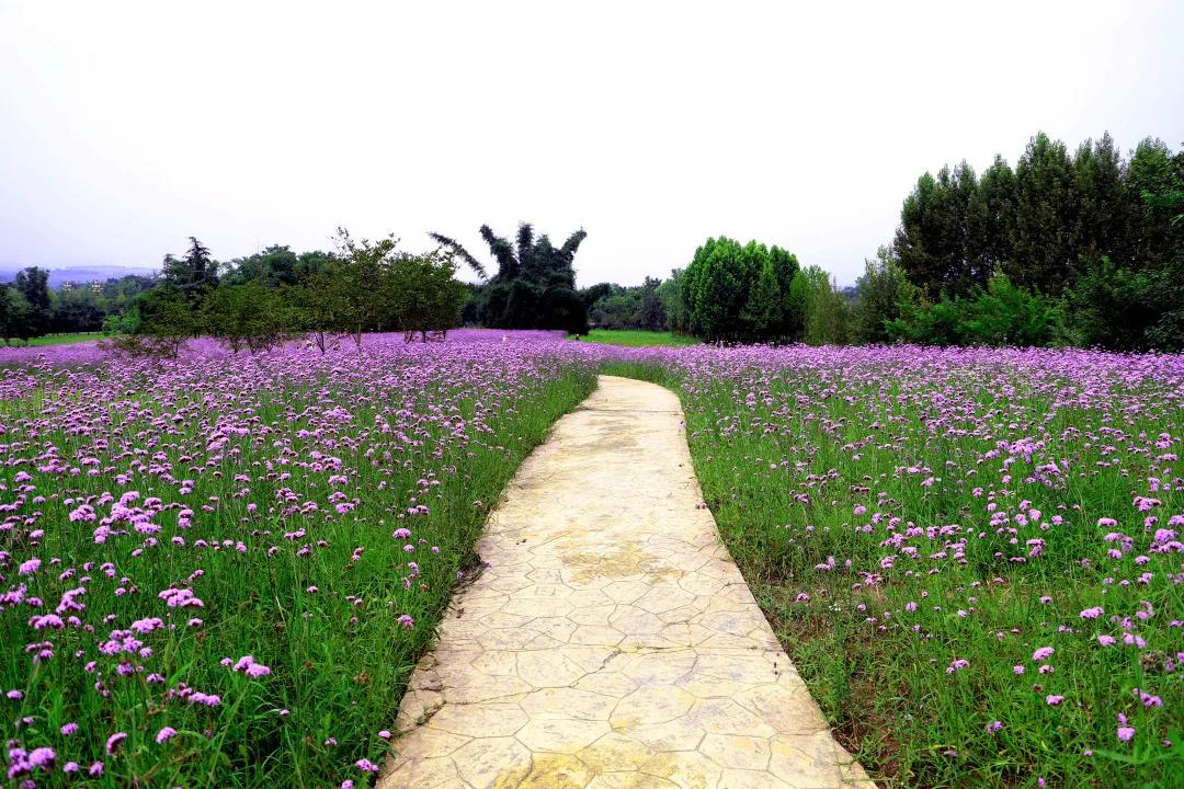 搞快点是哪里方言,搞快点