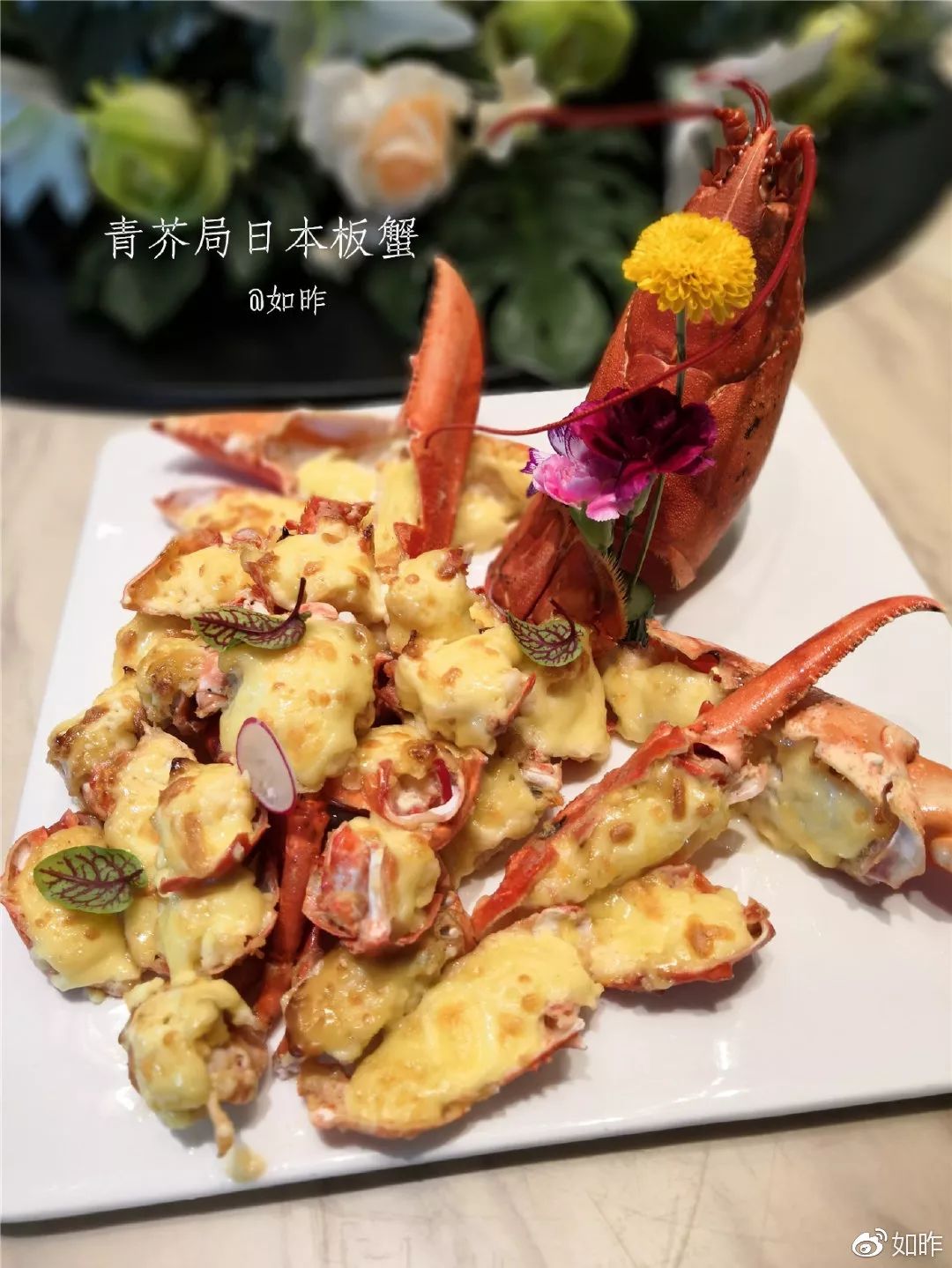 美食大咖私房菜,精选美食推荐让你的味蕾享受盛宴