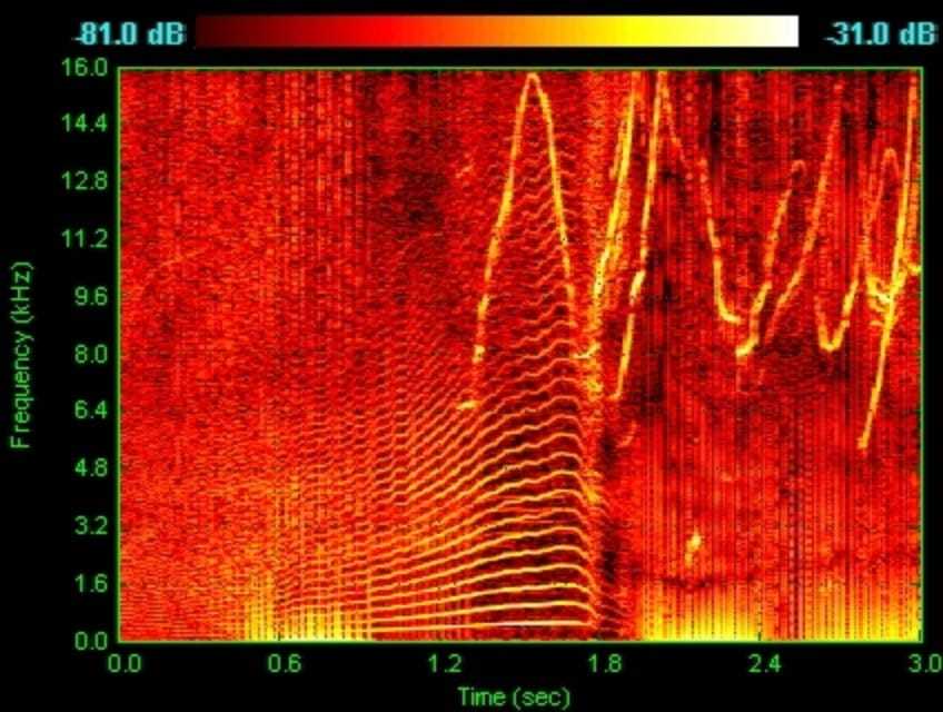 人工智能生成音频技术,人工智能合成音频是如何制作的
