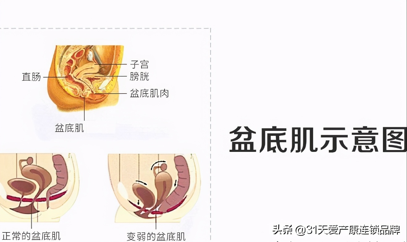 不管是顺产还是刨腹产,宝爸和宝妈都需要知道的产后恢复知识