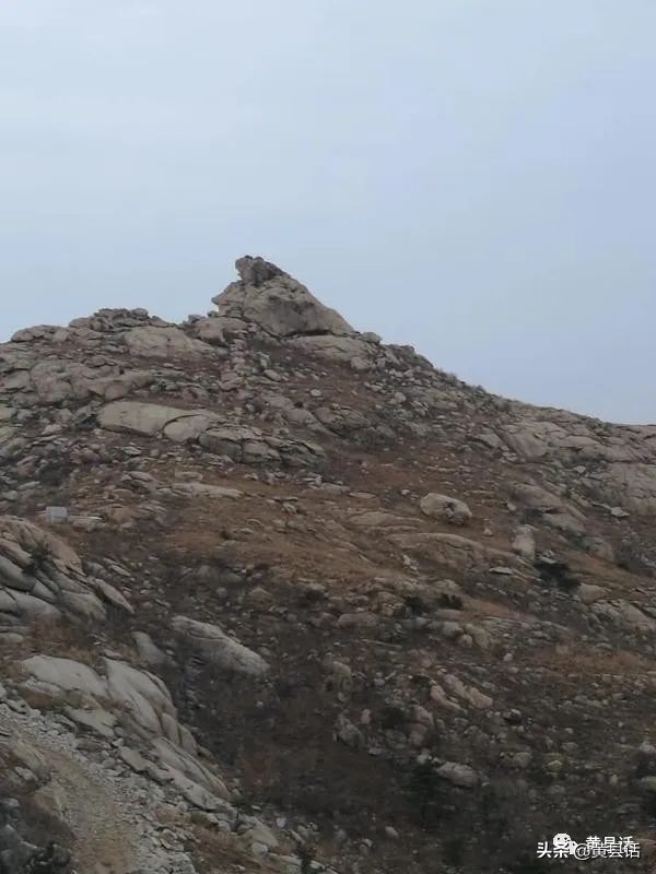 蹲犬山是大沽河的发源地吗？