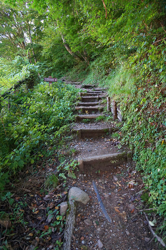 五天三晚之邂逅名古屋，新奇的日本之旅