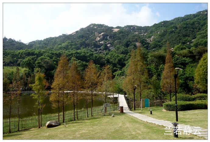 厦门国家会计学院校园,厦门国家会计学院漂亮吗