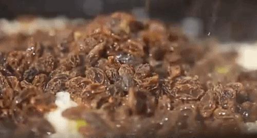 哼，又想「骗」我去*疆新**旅游！