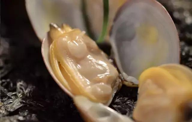 寿光羊口开海,寿光羊口哪个海鲜最好