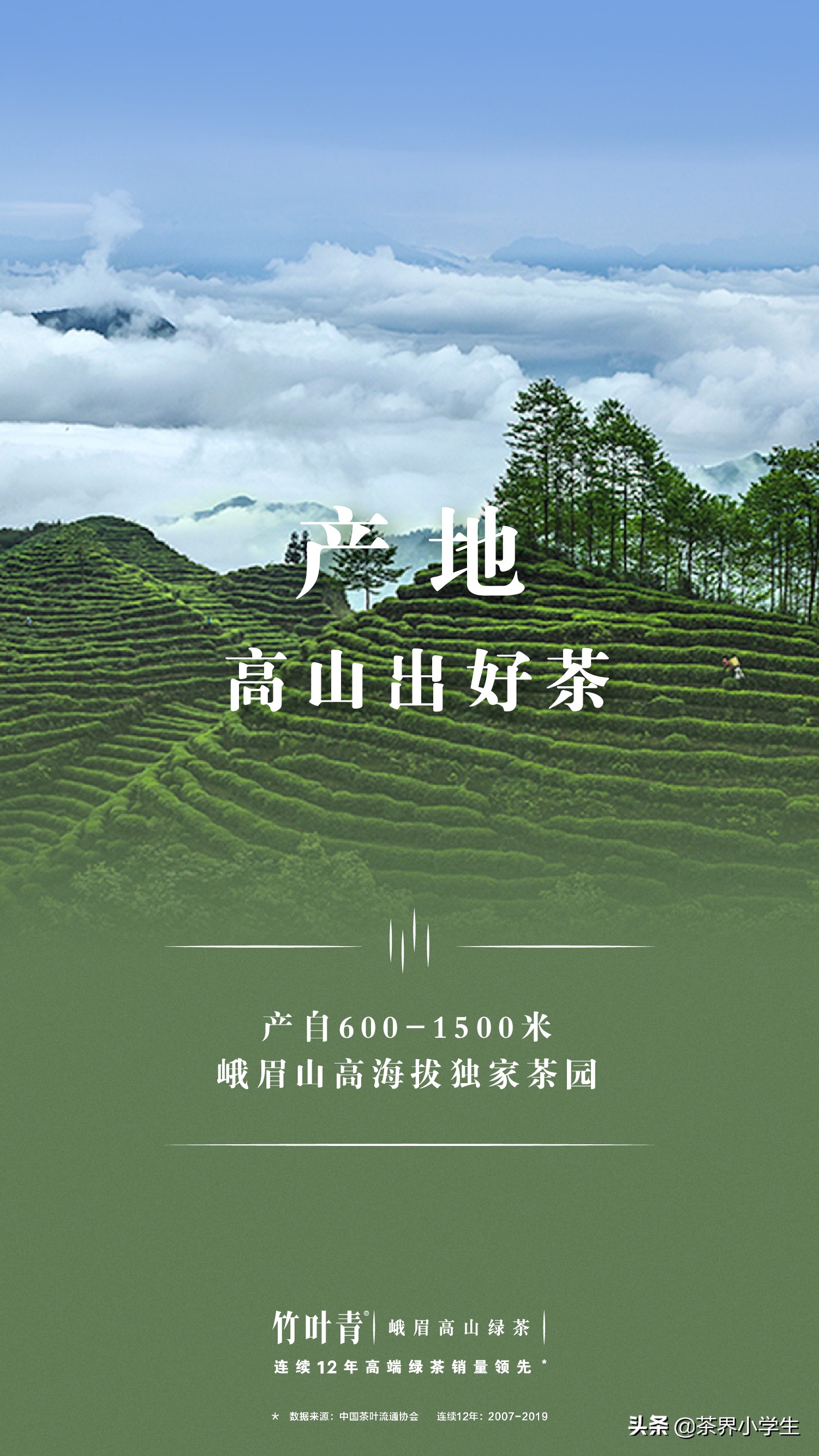 茅台竹叶青,茶界茅台竹叶青