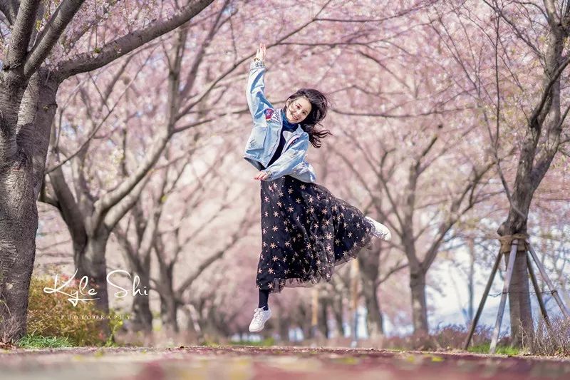 樱花季去日本价格高吗,樱花季去日本旅行