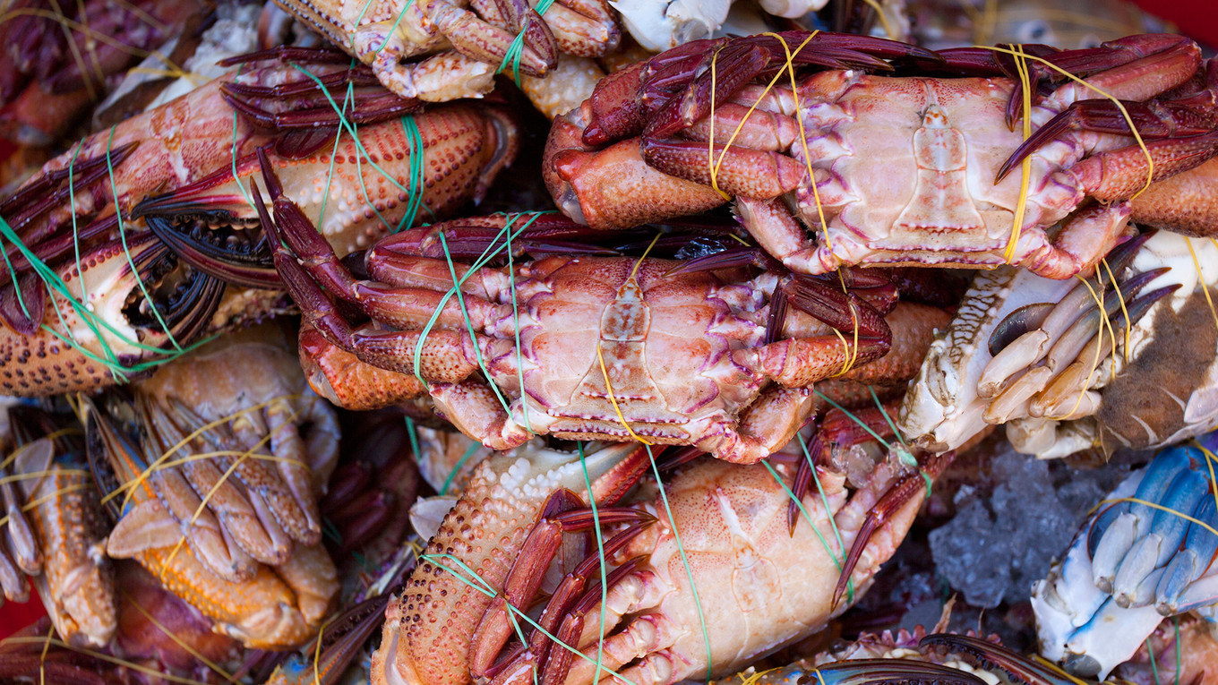 越南自由行详细攻略,越南自由行必备攻略