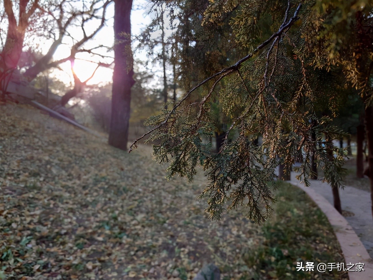 xperiapro-i拍摄体验视频,索尼微单手机xperiapro-i最新