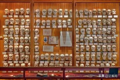 印度最黑暗神秘产业,印度黑产