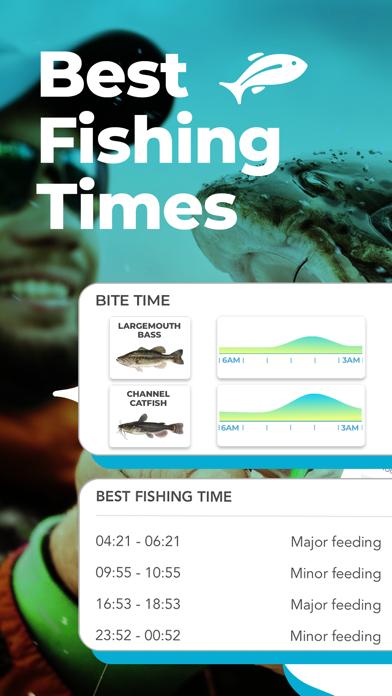 惊蛰钓鱼一天中最佳时间,冬季夜晚钓鱼最佳时间