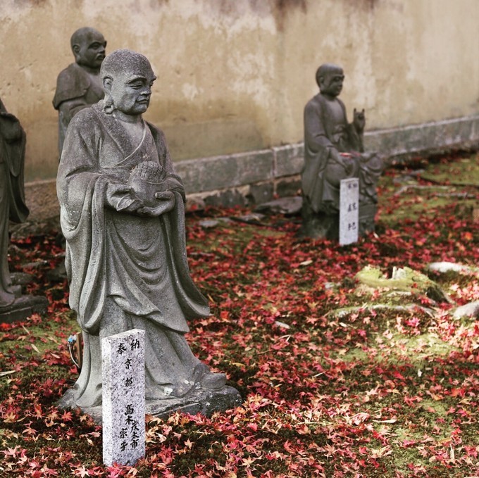 日本京都枫叶季旅游攻略,日本关西赏枫旅游攻略