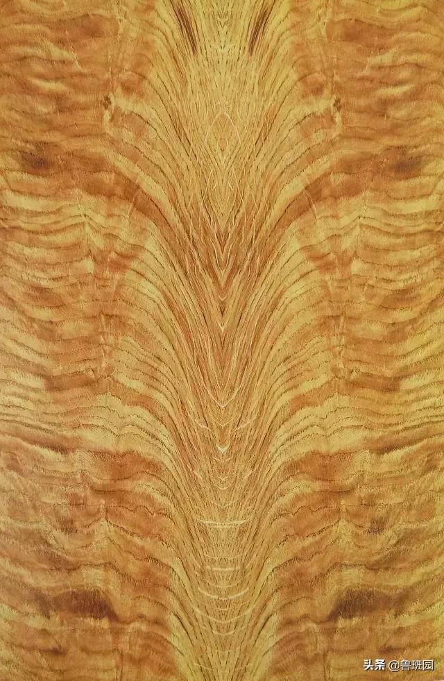 天然木皮源于大自然的美感,天然木皮的美